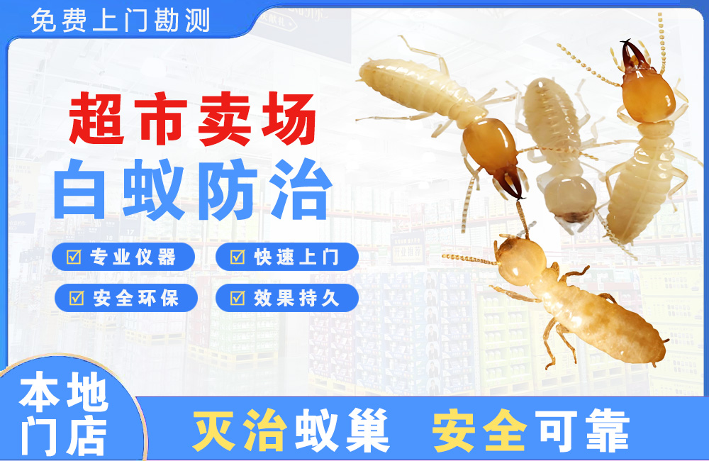 广元超市卖场白蚁防治