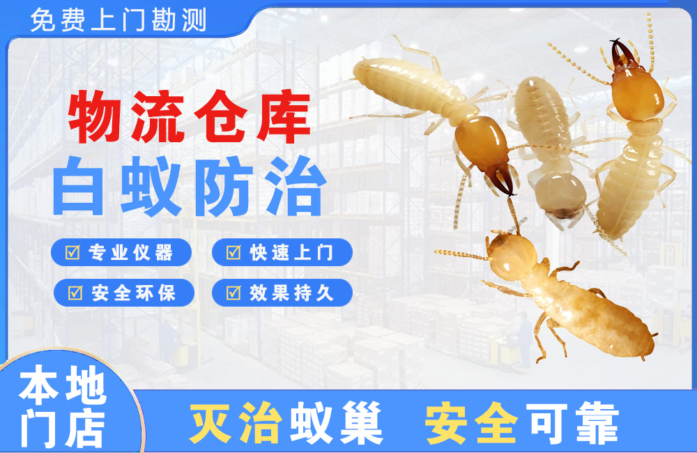 广元物流仓库白蚁防治