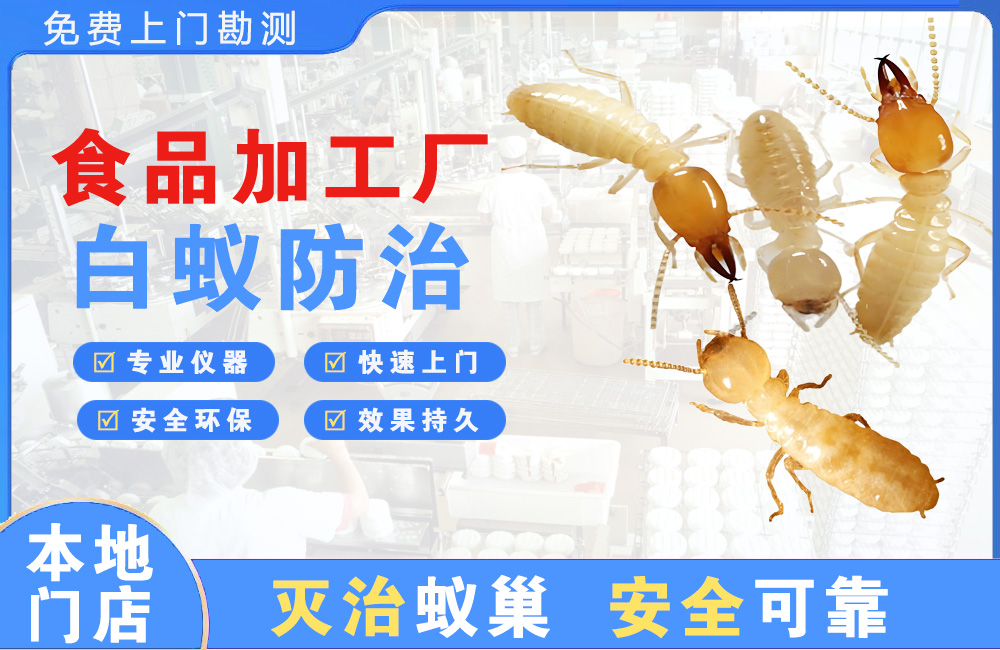 广元食品加工厂白蚁防治