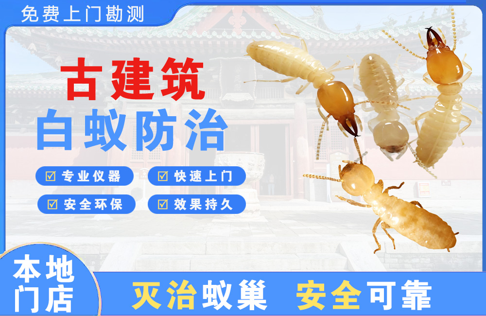 广元古建筑白蚁防治