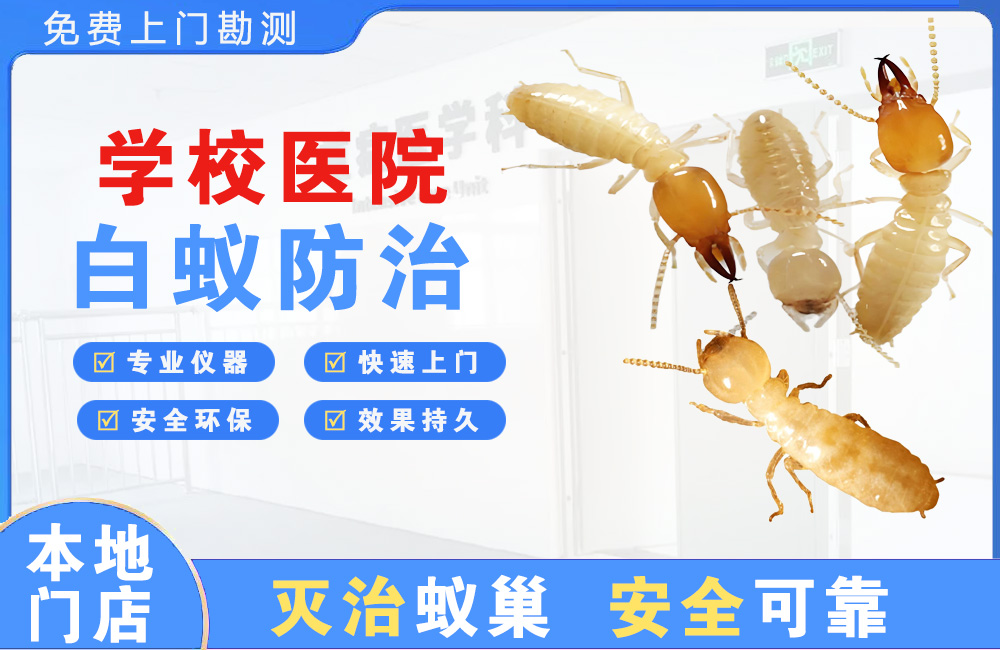 广元学校医院白蚁防治
