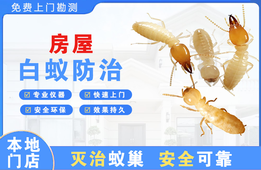广元房屋白蚁防治