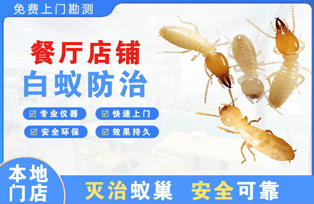 广元餐厅店铺白蚁防治